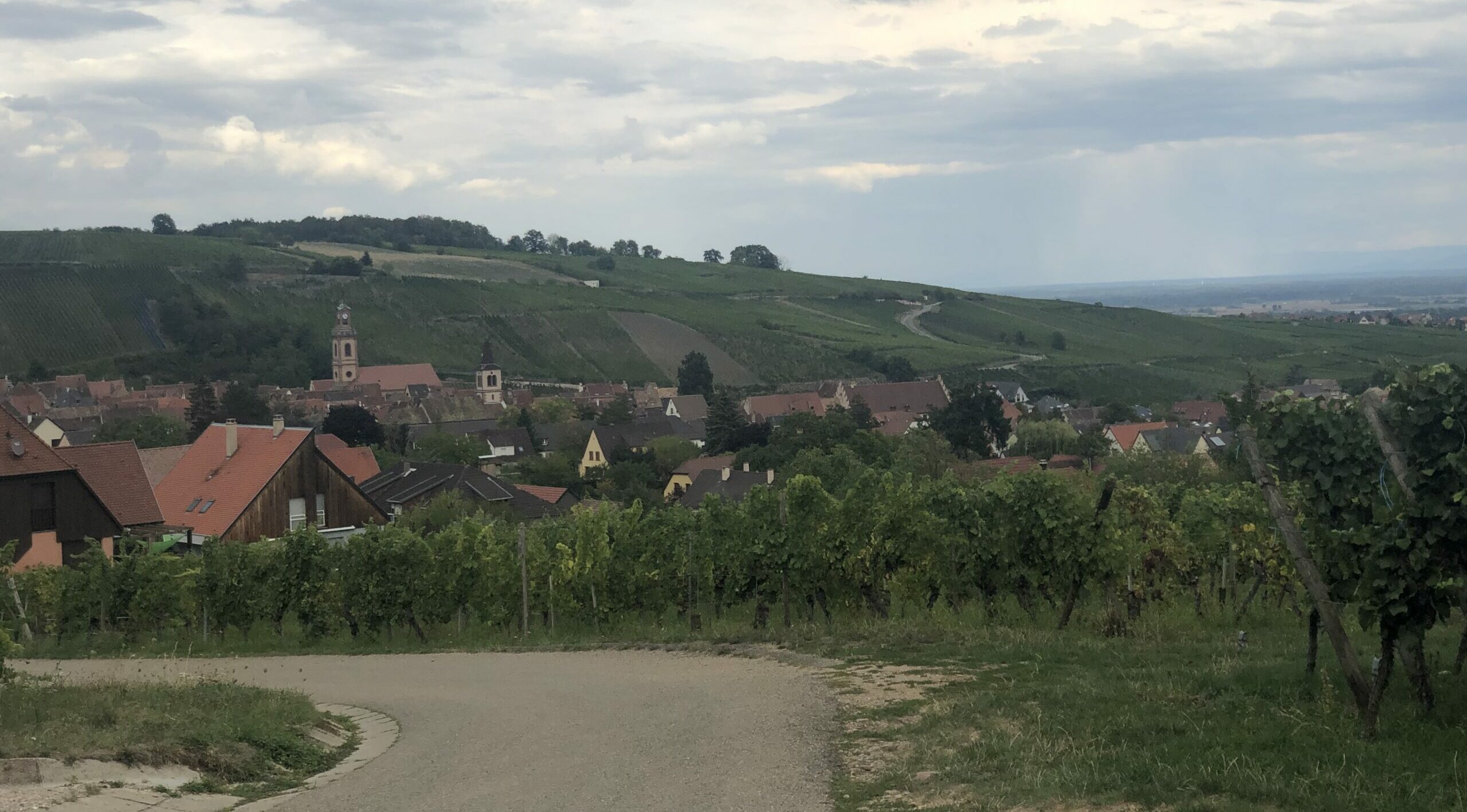 Entre Lorraine et Alsace - 2022